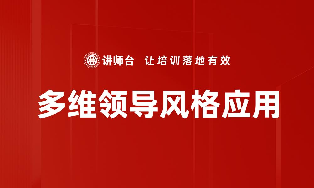 多维领导风格应用