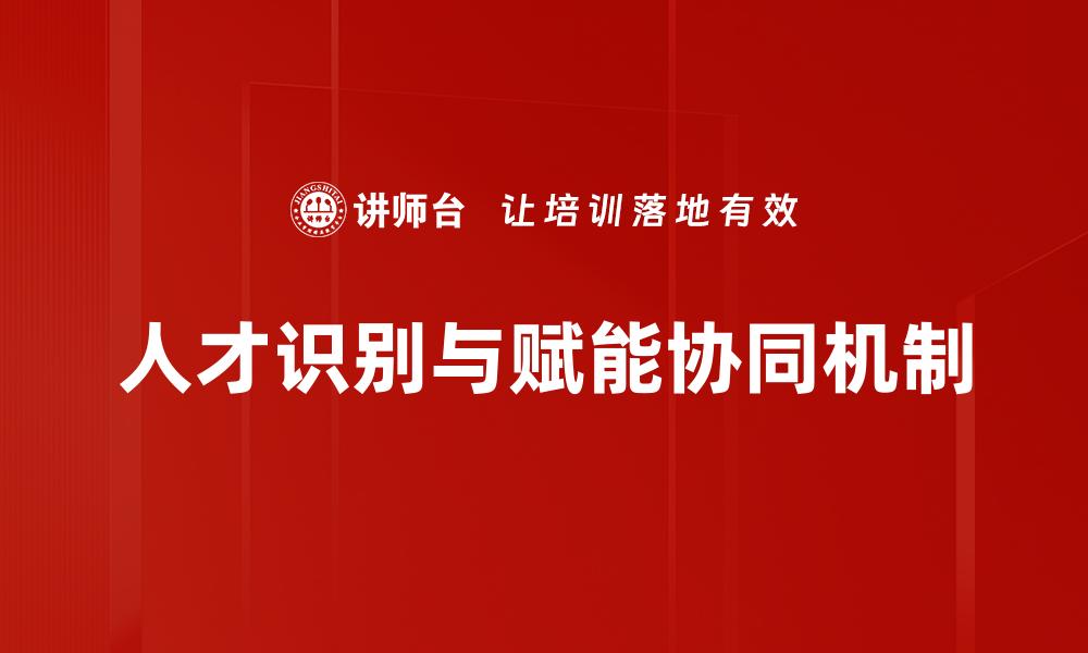 人才识别与赋能协同机制