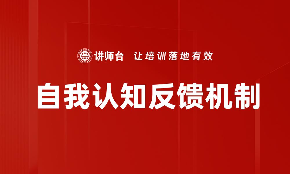 自我认知反馈机制