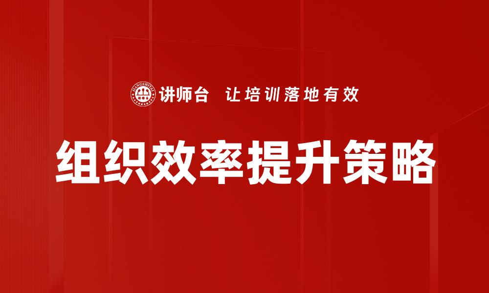 组织效率提升策略