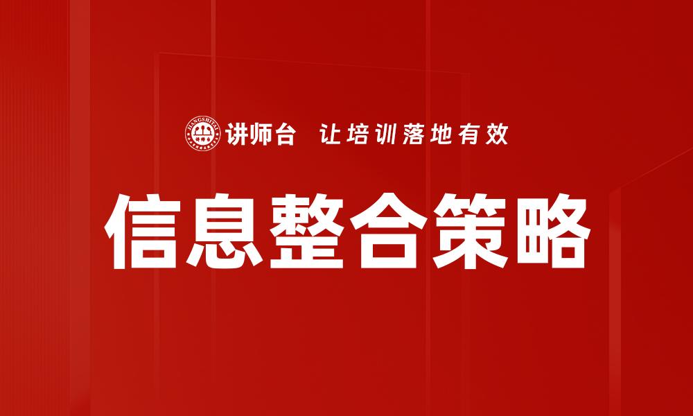 信息整合策略