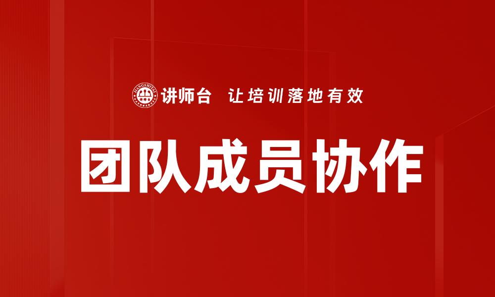 团队成员协作