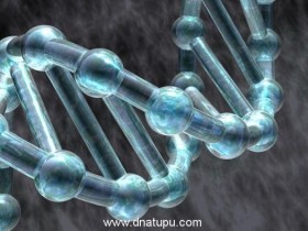 DNA鉴定多长时间能出结果