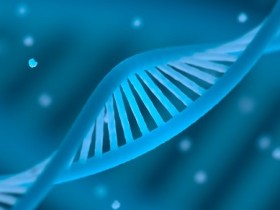 头发能做DNA亲子鉴定吗