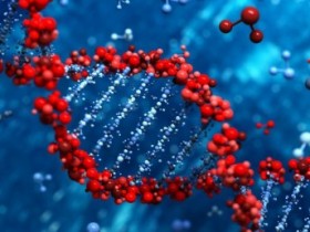 DNA亲子鉴定测试原理是什么