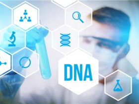 DNA鉴定技术的应用