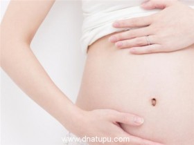 胎儿亲子鉴定的方法