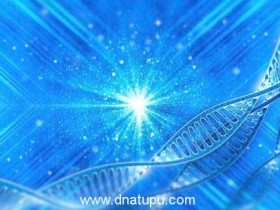 DNA亲子鉴定技术什么时候有的
